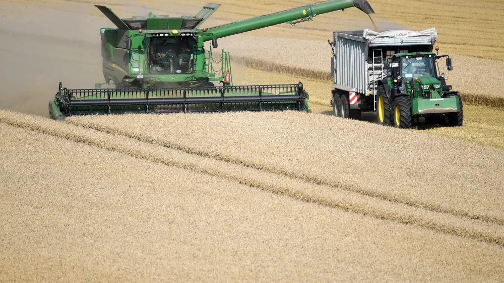 Wheat being harvested