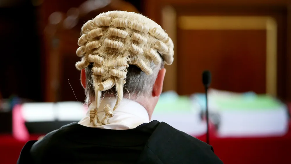 The back of the head of an advocate who is wearing a wig