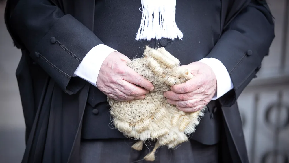 Advocate holding a wig