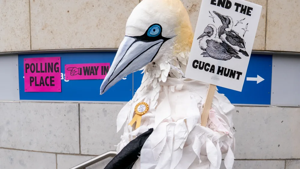 A person dressed as a gannet holding a sign reading 'end the guga hunt'