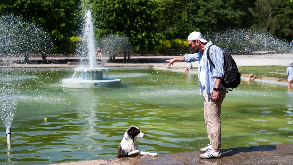 Man with his dog at water fountain in Battersea Park