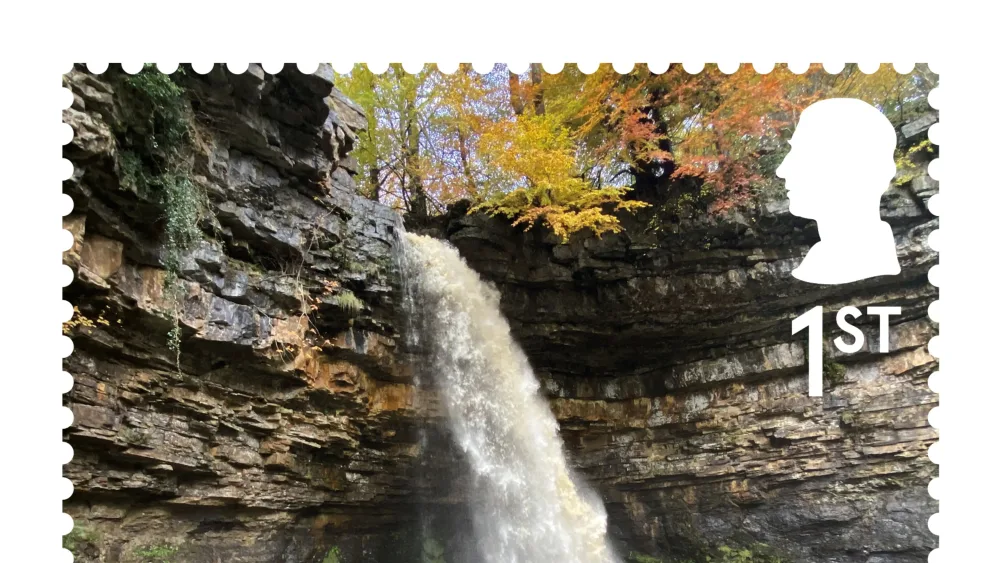 Hawdraw Force