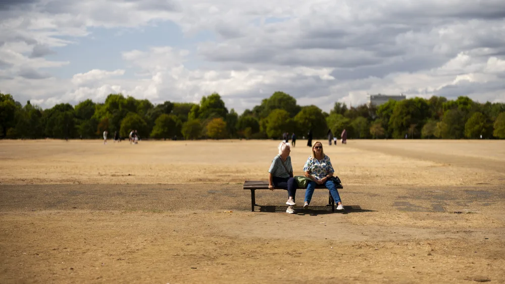 People sitting on a bench surrounded by an expanse of dry, brown grass