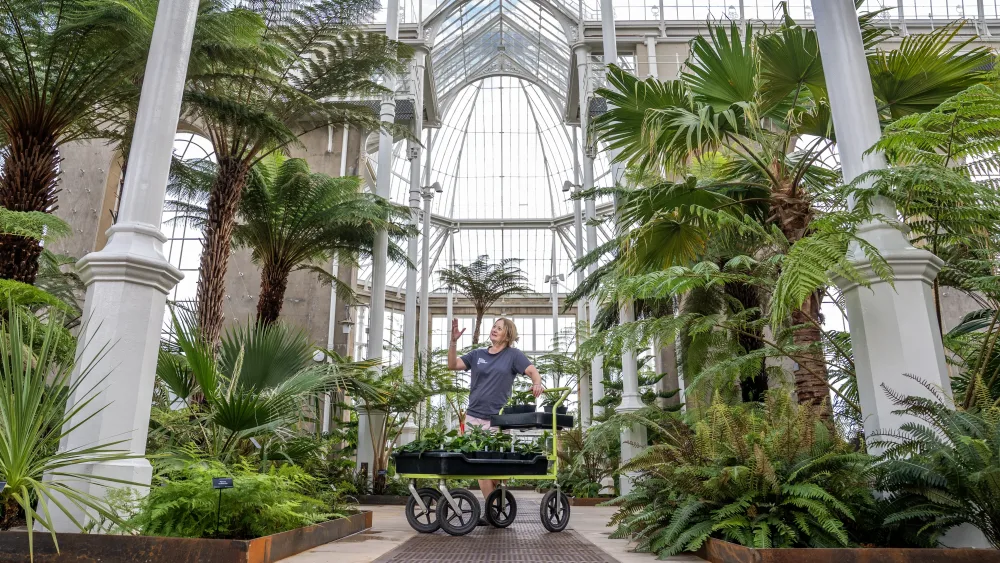 Royal Botanic Garden Edinburgh’s Palm Houses