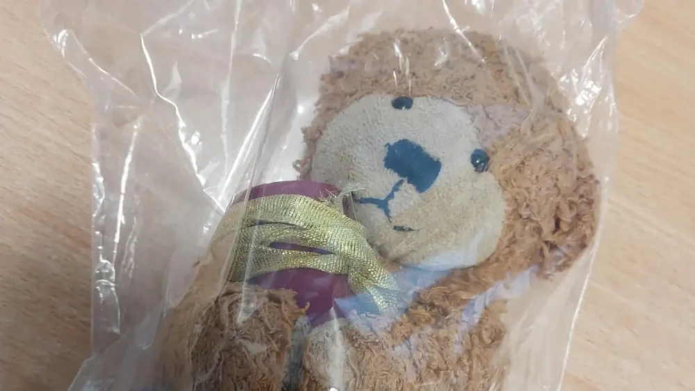 A teddy bear clutching an urn