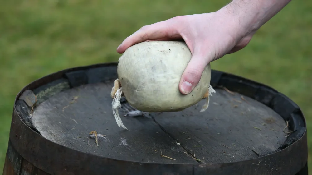 A hand holding a haggis on top of a whisky barrel
